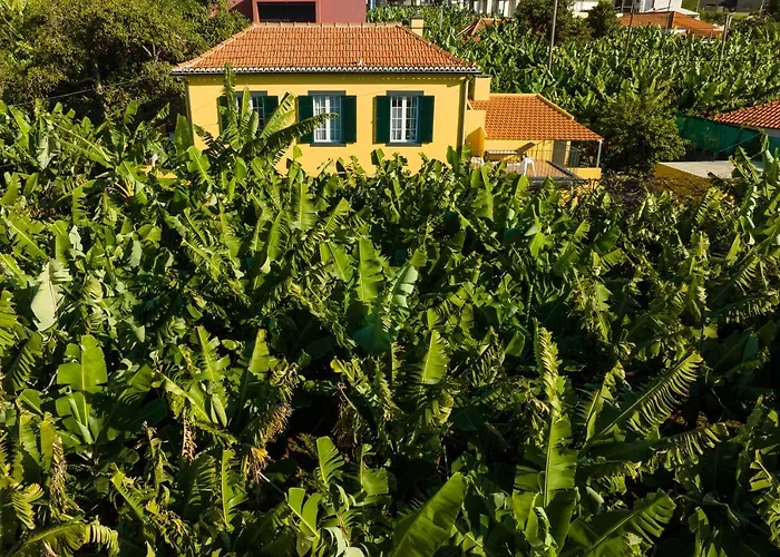 Casa D\'Avo Celina